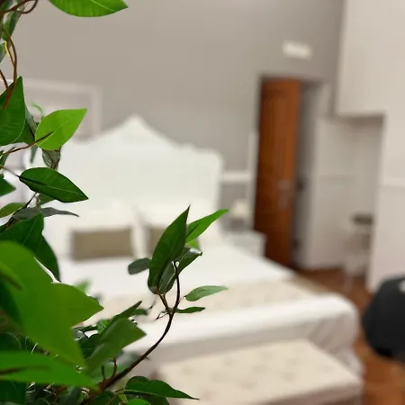 Miluar - Centro Storico - Lungo La Via Della Musica Bed & Breakfast 4*